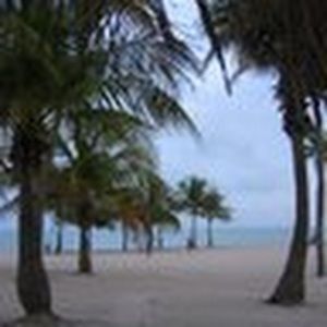 Meet your Posher, Carmen